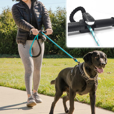 This Innovative Hack Instantly Helps Any Dog Parent Enjoy Easier Walks, And Drain Their Companion’s Pent Up Energy.