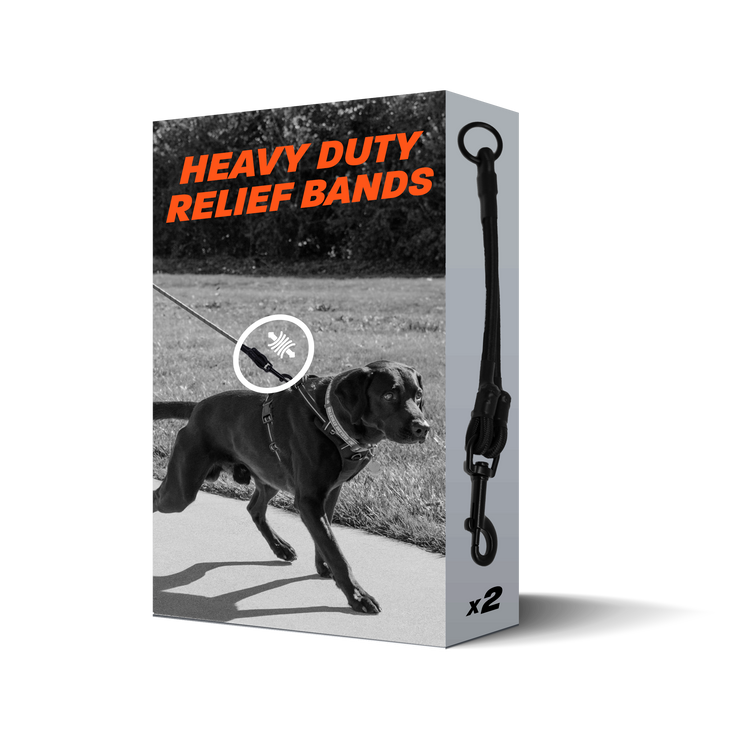 Force Free Pulling Relief For Strong Energetic Dogs